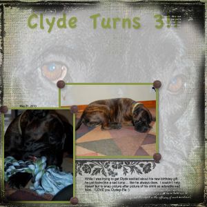 Project 7 of 365: Clyde Turns 3!!